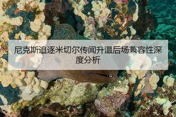 ni-ke-si-zhui-zhu-mi-qie-er-chuan-wen-sheng-wen-hou-chang-jian-rong-xing-shen-du-fen-xi-2-542.jpg